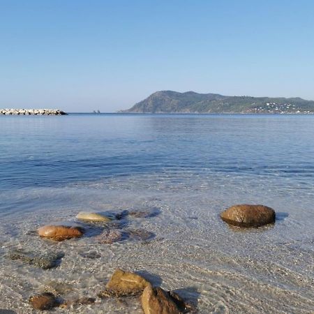 Appartamento Havre De Paix A 2 Pas De L'Eau, Autonomie Saint-Mandrier-sur-Mer Esterno foto